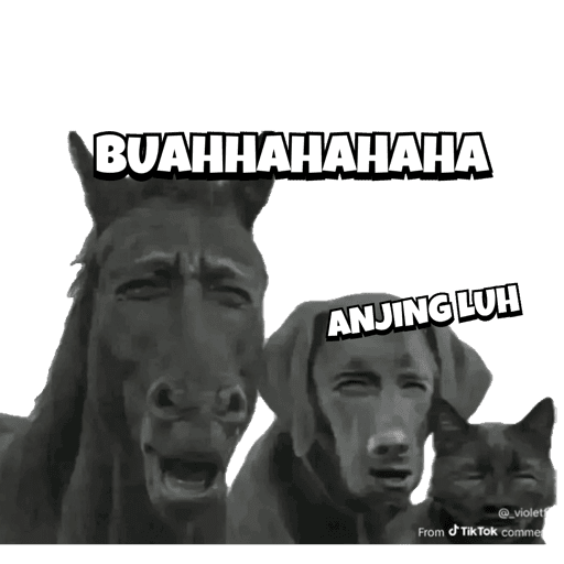 Hahaha 12