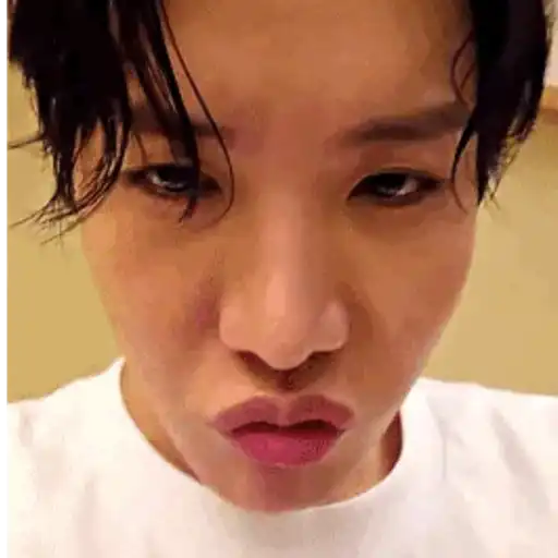 BTS recente  24