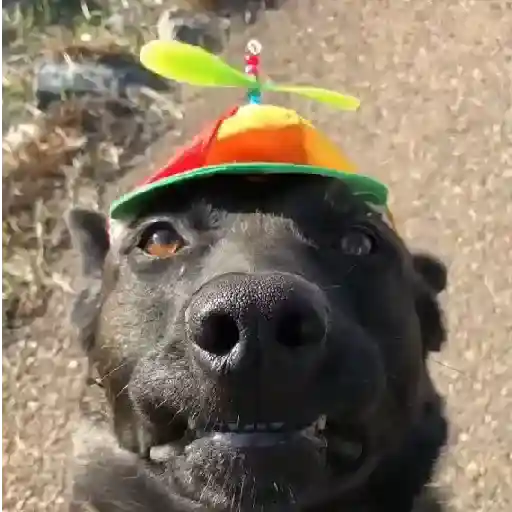 Abcdefg 8