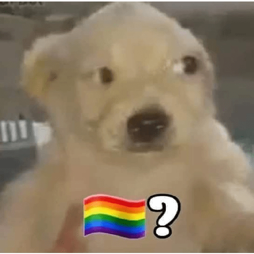 Shitpost animal 😾👻 3