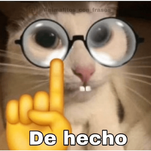 Shitpost animal 😾👻 5