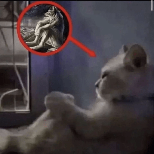 Shitpost animal 😾👻 6