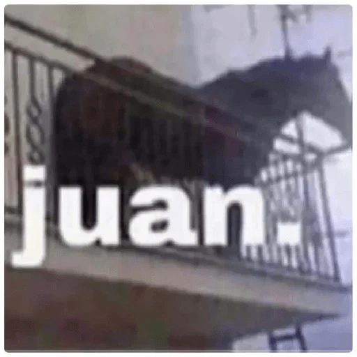Juan 👍 1