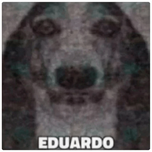 Juan 👍 4