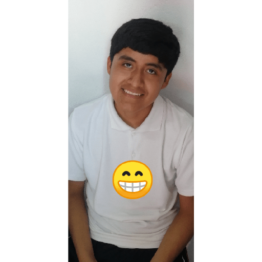 Los tilines 13