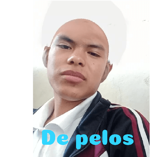 Los tilines 4