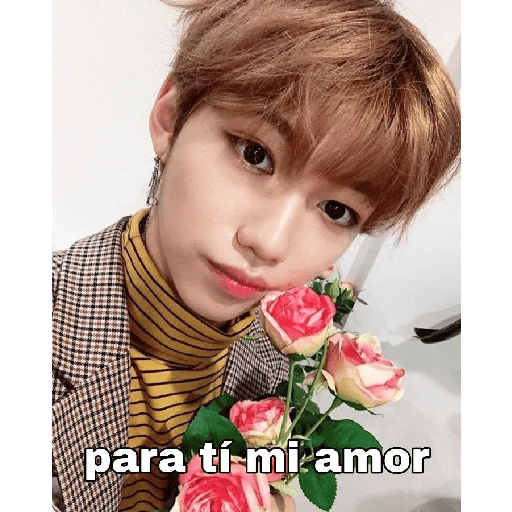 Stickers kpop