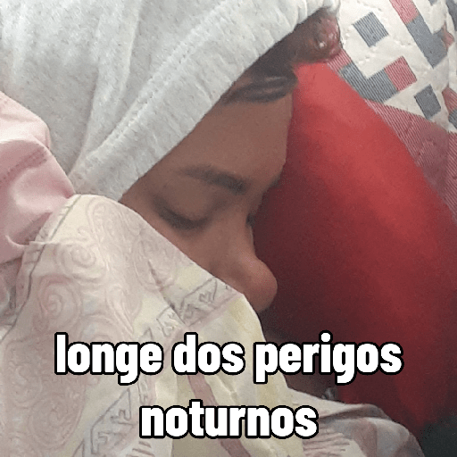 BAMUSGA 7