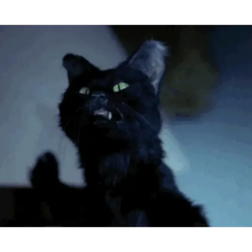 Scary Movie 25