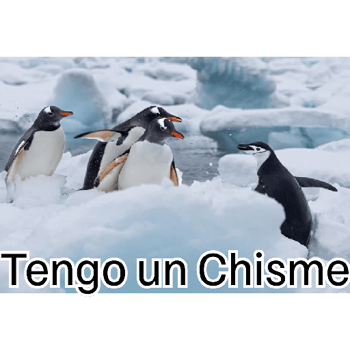 Eshaaaa 20