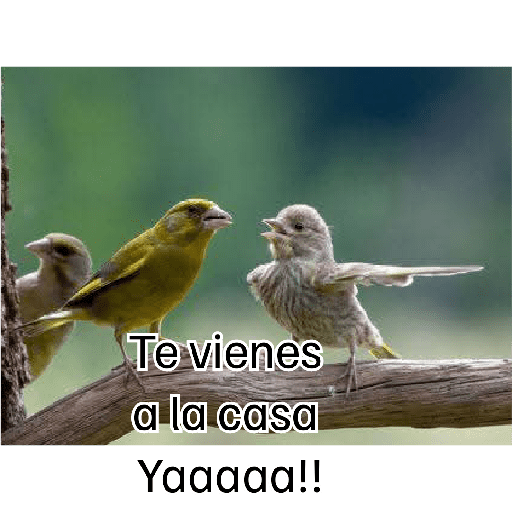 Eshaaaa 8