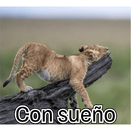 Eshaaaa 14