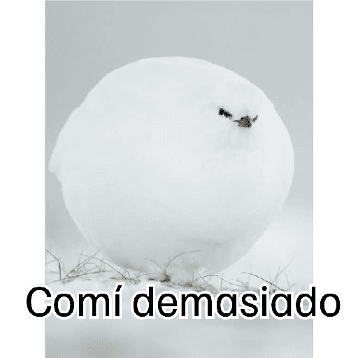 Eshaaaa 15