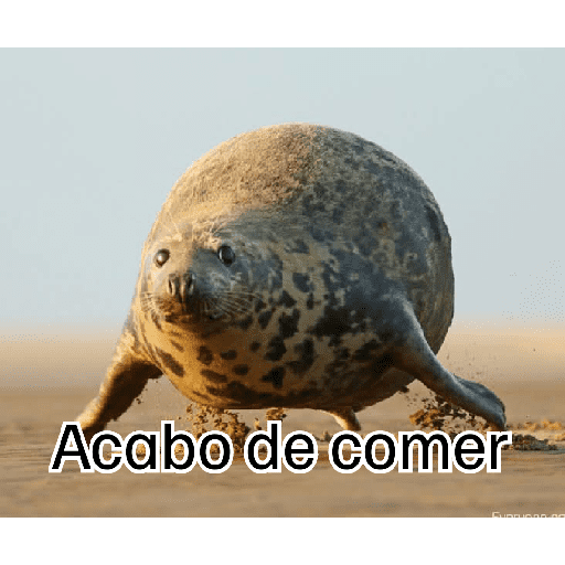 Eshaaaa 16