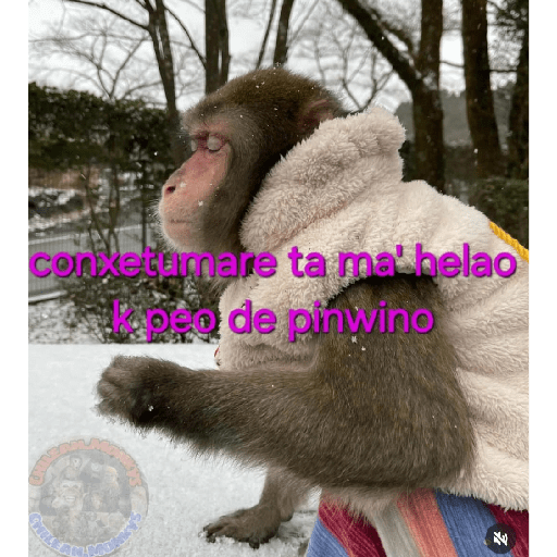 Memes randoms 🛐🛐 24