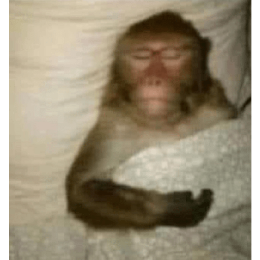 Memes randoms 🛐🛐 7
