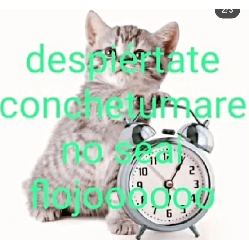 Memes randoms 🛐🛐 26