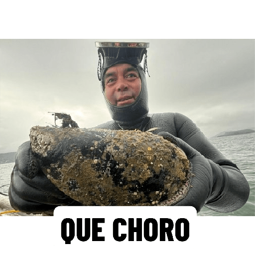 Memes randoms 🛐🛐 16