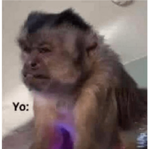 Memes randoms 🛐🛐 11