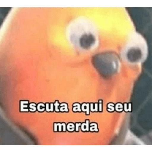 Memes