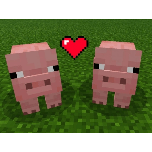 Minecraft love