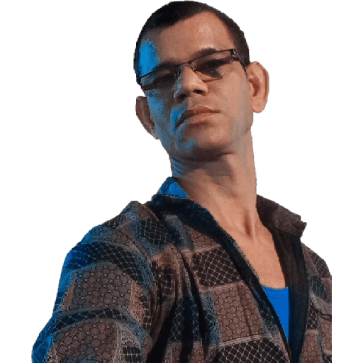 স্টিকার 13