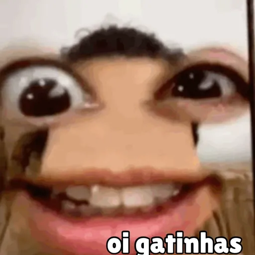 Minhas figurinhas 14