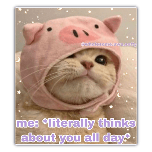  💋  26