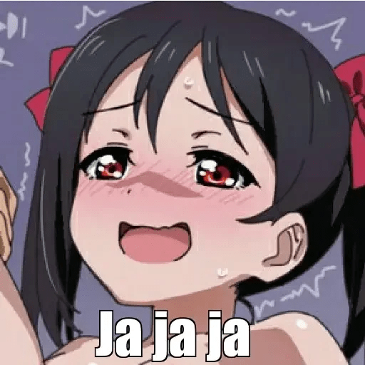 Não  14