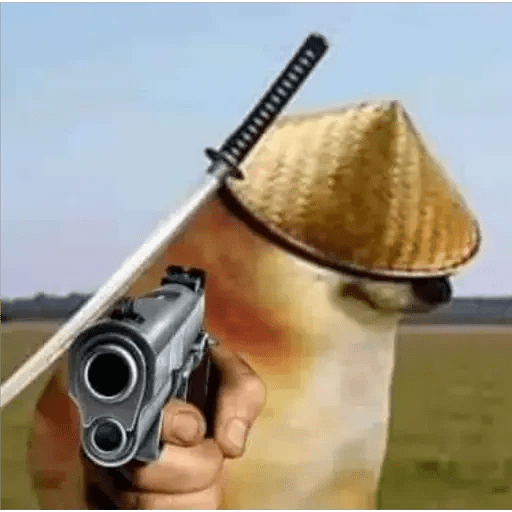 Não  27