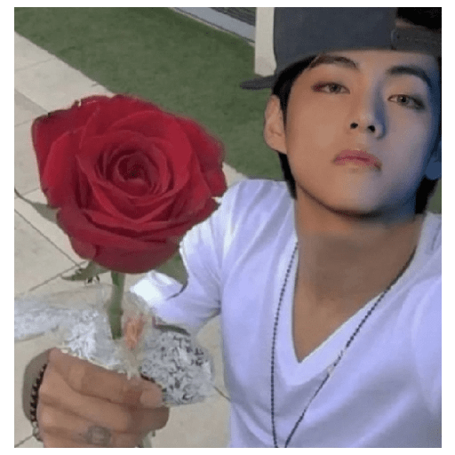 Kpop 5