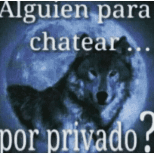 Amoranor 15