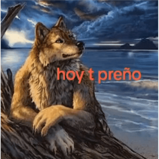 Amoranor 4