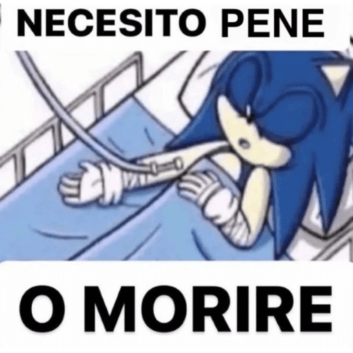 Amoranor 23