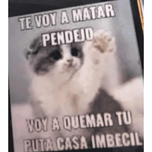 Amoranor 25