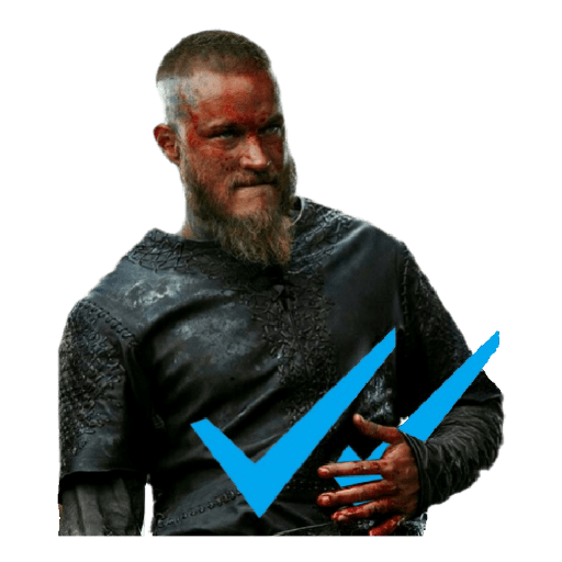 Vikings 8