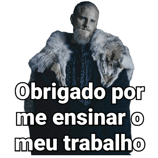 Vikings 15