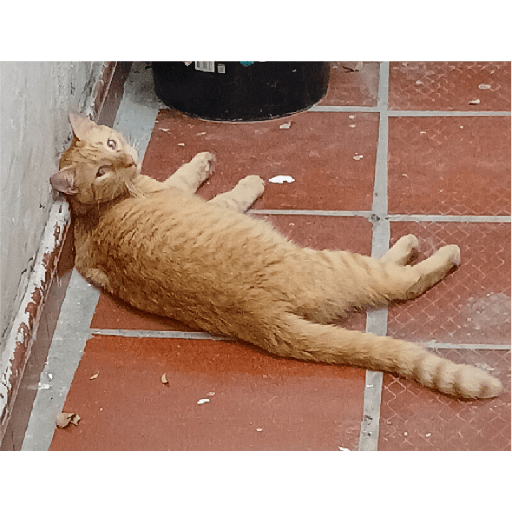 Mis pegatinas 28