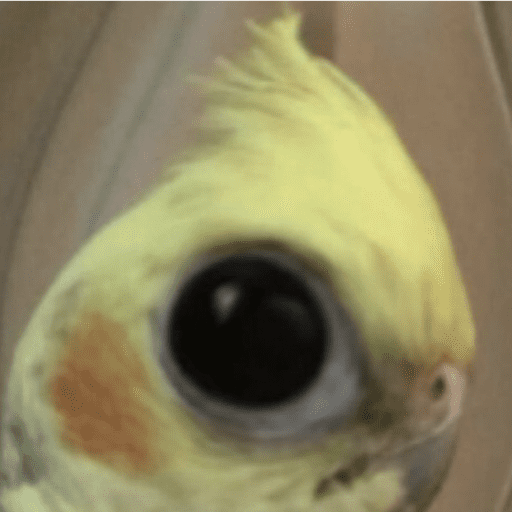Random 17 6
