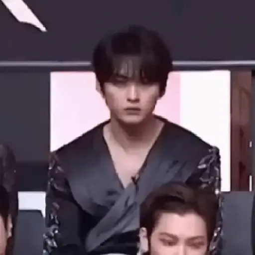 Stray Kids 15