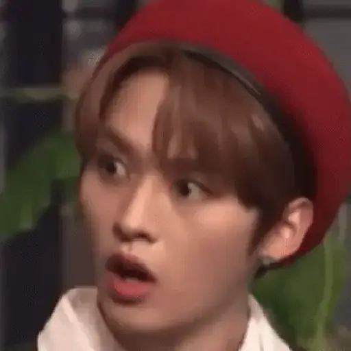 Stray Kids 13