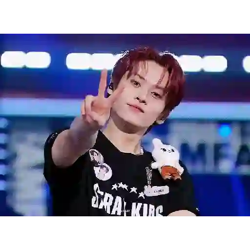 Stray Kids 6