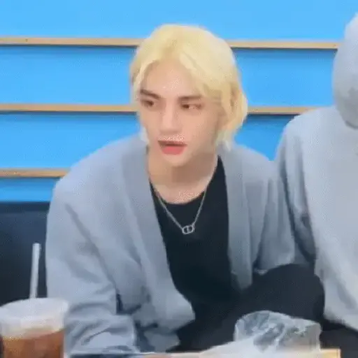 Stray Kids 8