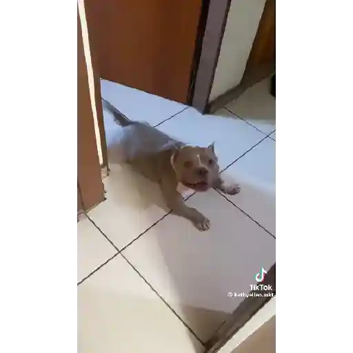 Gif's 11