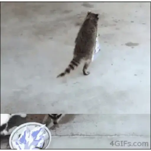 Gif's 2