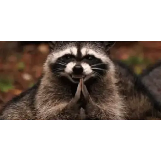Gif's 1