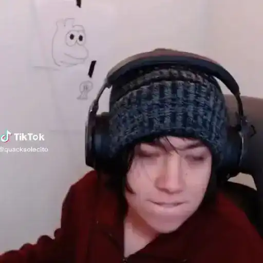 Quackity Gif 6