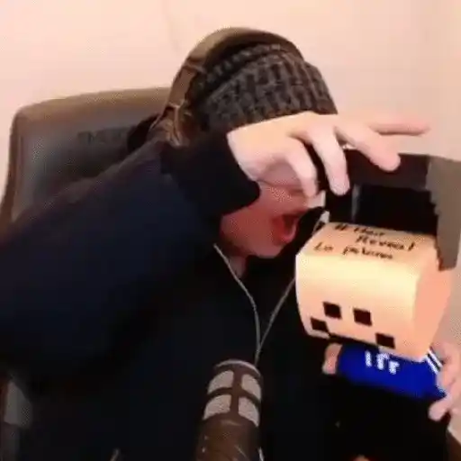 Quackity Gif 12
