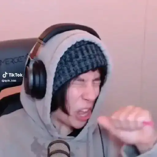 Quackity Gif 22