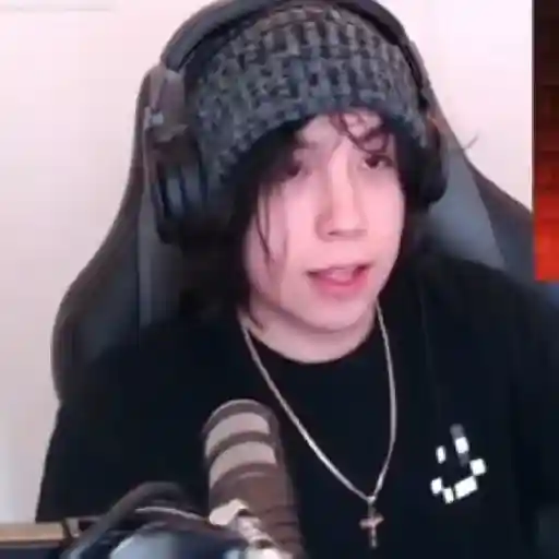 Quackity Gif 18